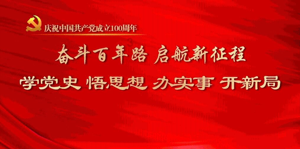 饥饿的松鼠救援